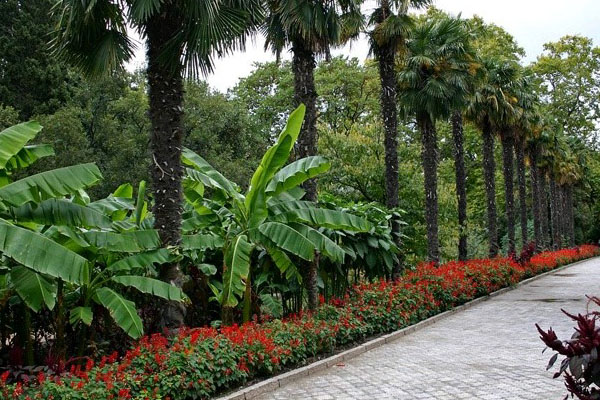 NIKITSKY BOTANICAL GARDEN