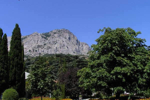 FOROS PARK